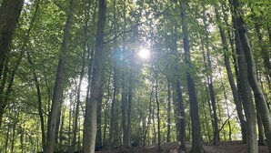 Uklassifisert bilde, 2 av 6, knapp