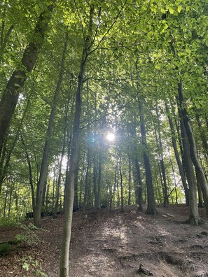 Property grounds - Apartamento en Wuppertal (Wuppertal)