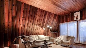 Télévision, cheminée, chaßne hi-fi