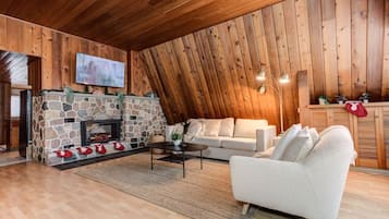 Télévision, cheminée, chaßne hi-fi