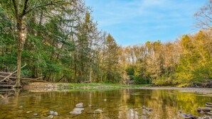 A clear river with rocks and trees reflecting in the water.