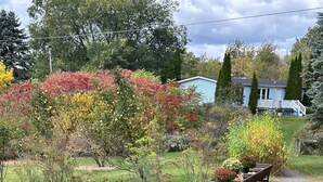 Un jardín con diversas plantas y un banco de madera.