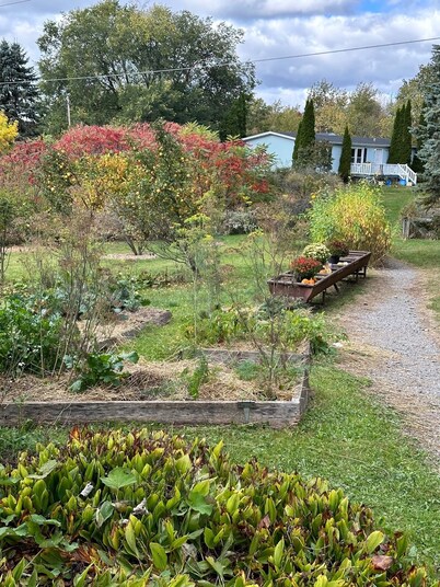 Robin's Nest: Newly renovated home located on 60 acres of fields & forest.