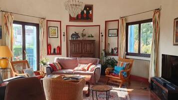 Smart TV, fireplace, DVD player, books