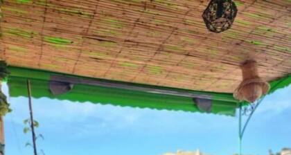 Double or Twin Room #2