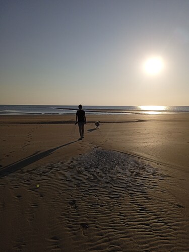 new house located near the pine forest