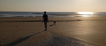 new house located near the pine forest