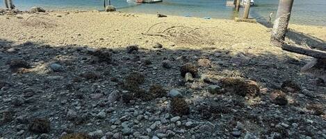 On the beach, sun-loungers, beach towels