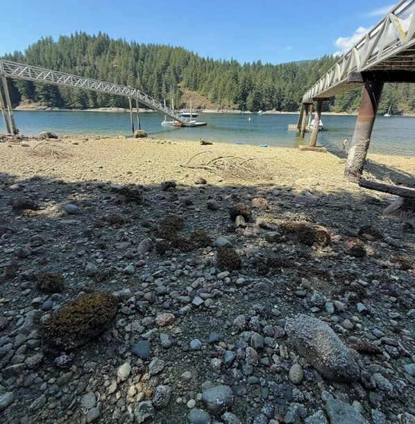 On the beach, sun-loungers, beach towels