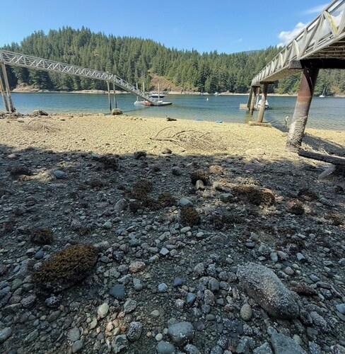 Oceanfront and Mountain View Nature's Wonders!