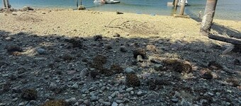 Oceanfront and Mountain View Nature's Wonders!