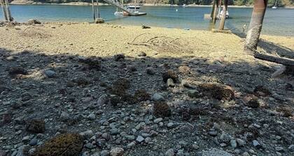 Oceanfront and Mountain View Nature's Wonders!