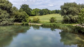 A tranquil pond surrounded by lush greenery and trees. - The Tunnel at Bridge Lake Farm and Fishery (Banbury)