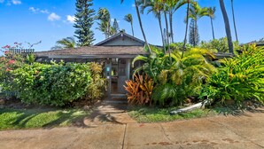 A house with a tiled roof, surrounded by lush tropical plants and palm trees.