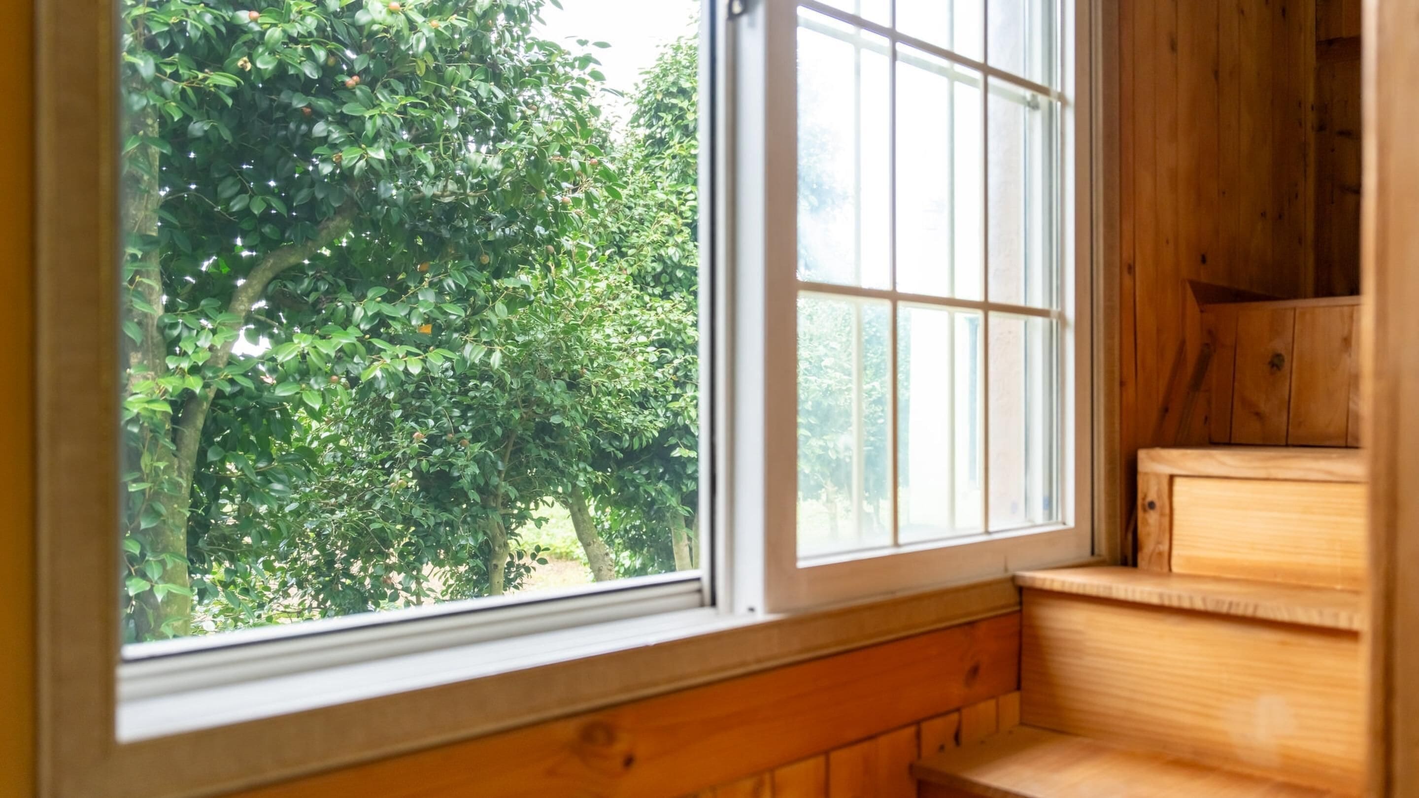 A wooden interior with a window overlooking a tree.