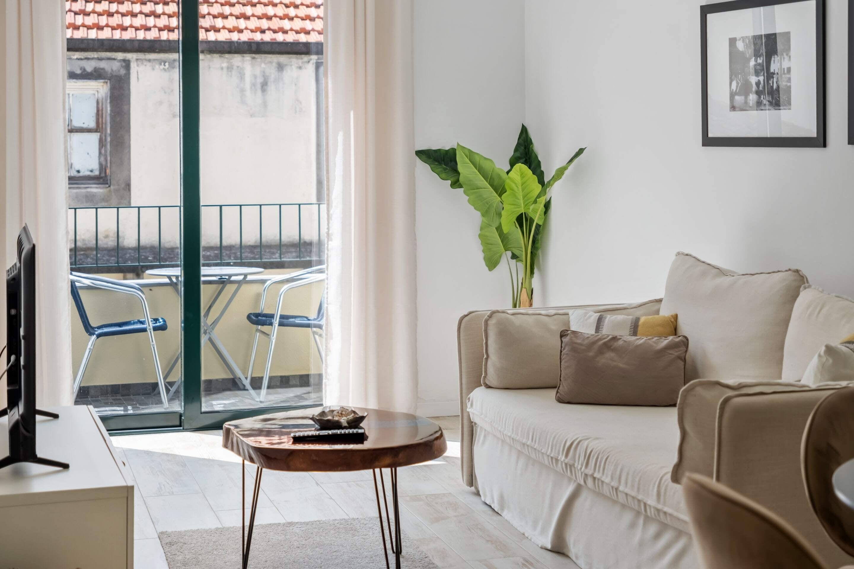 A modern living room with a sofa, a coffee table, and a potted plant.