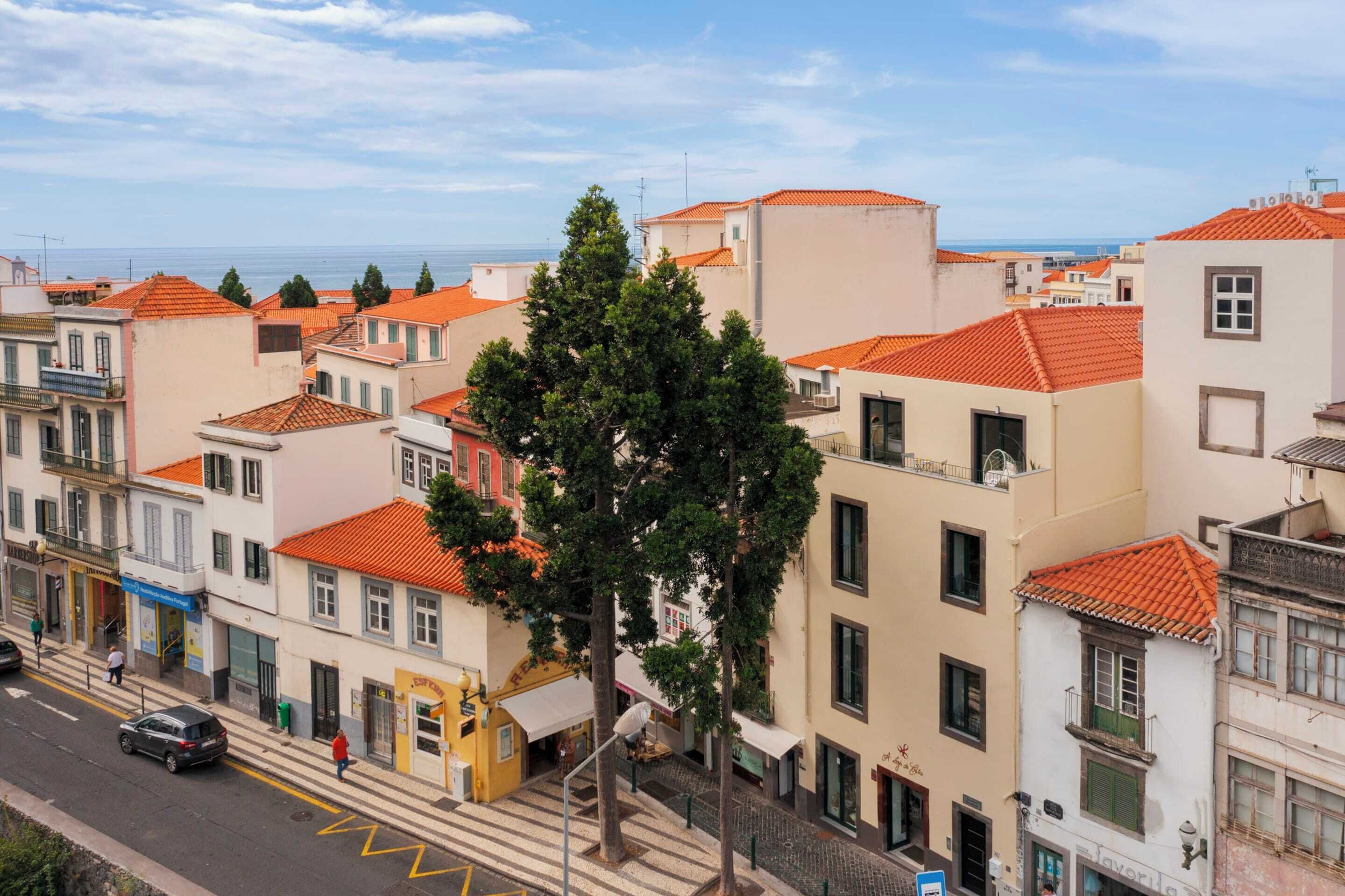 A coastal street with buildings featuring red-tiled roofs and a prominent tree in the foreground.