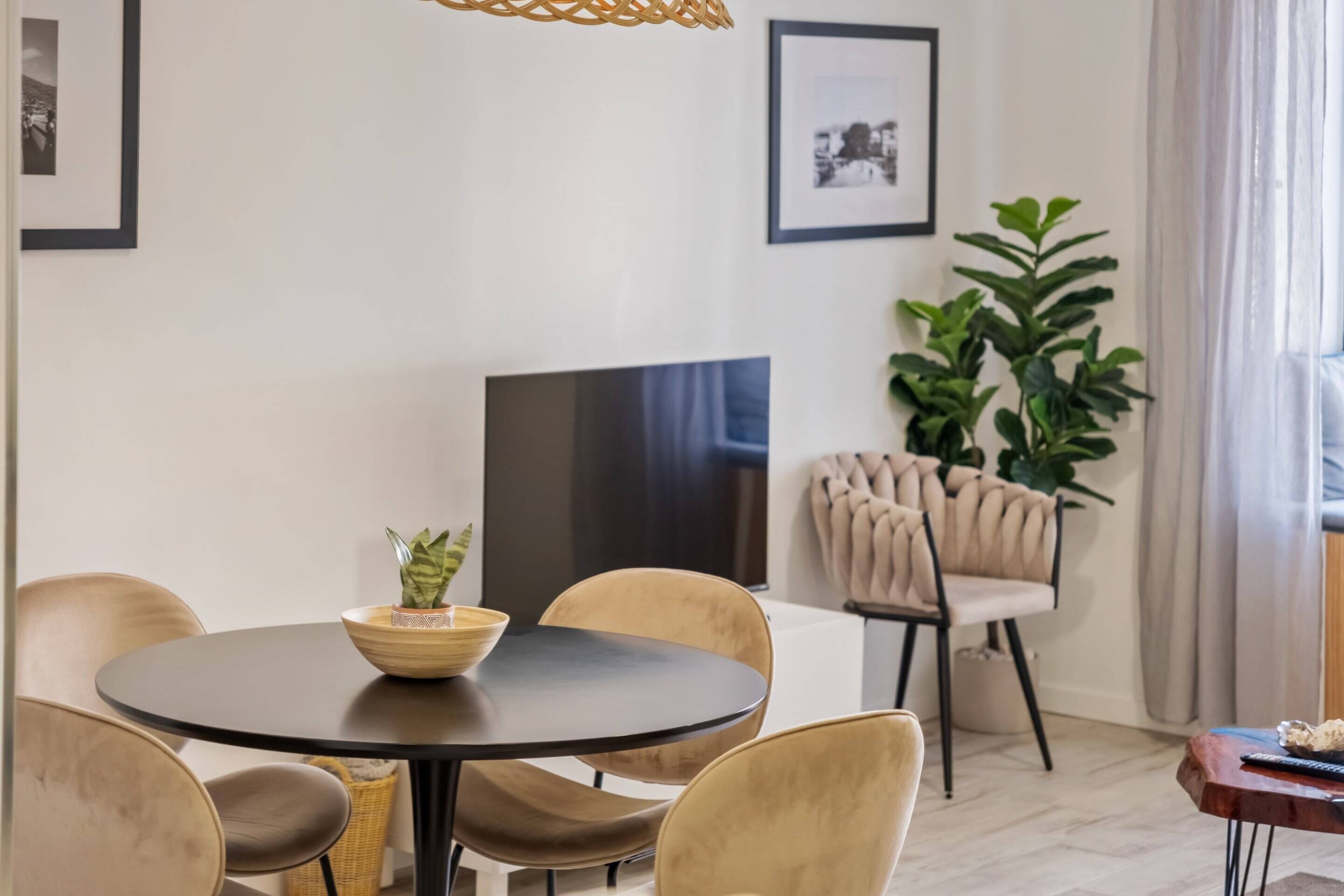 Un coin repas comprenant une table ronde, des chaises, un bol avec une plante, un téléviseur et une plante en pot.