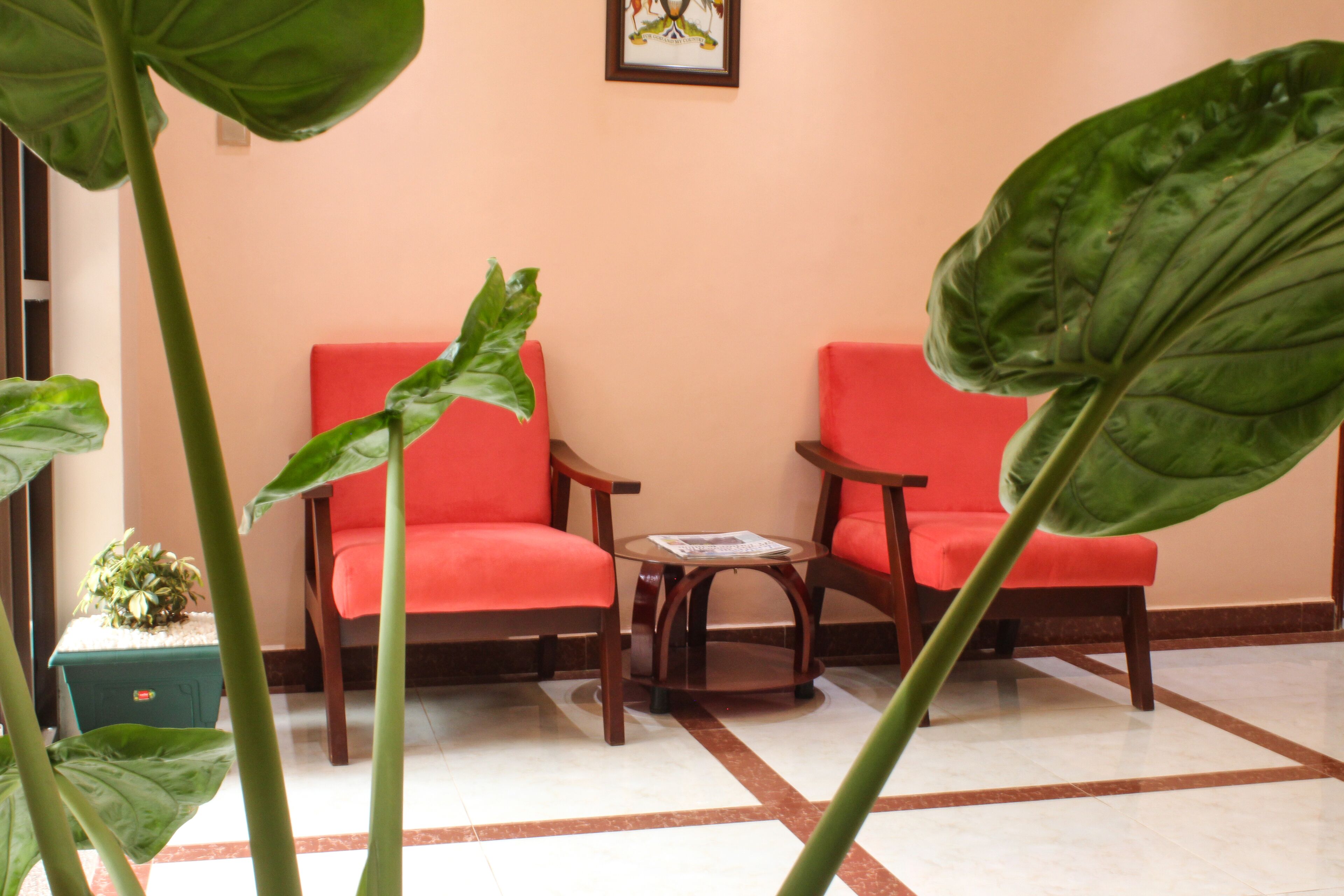 A room with two red chairs, a small table, and a potted plant.