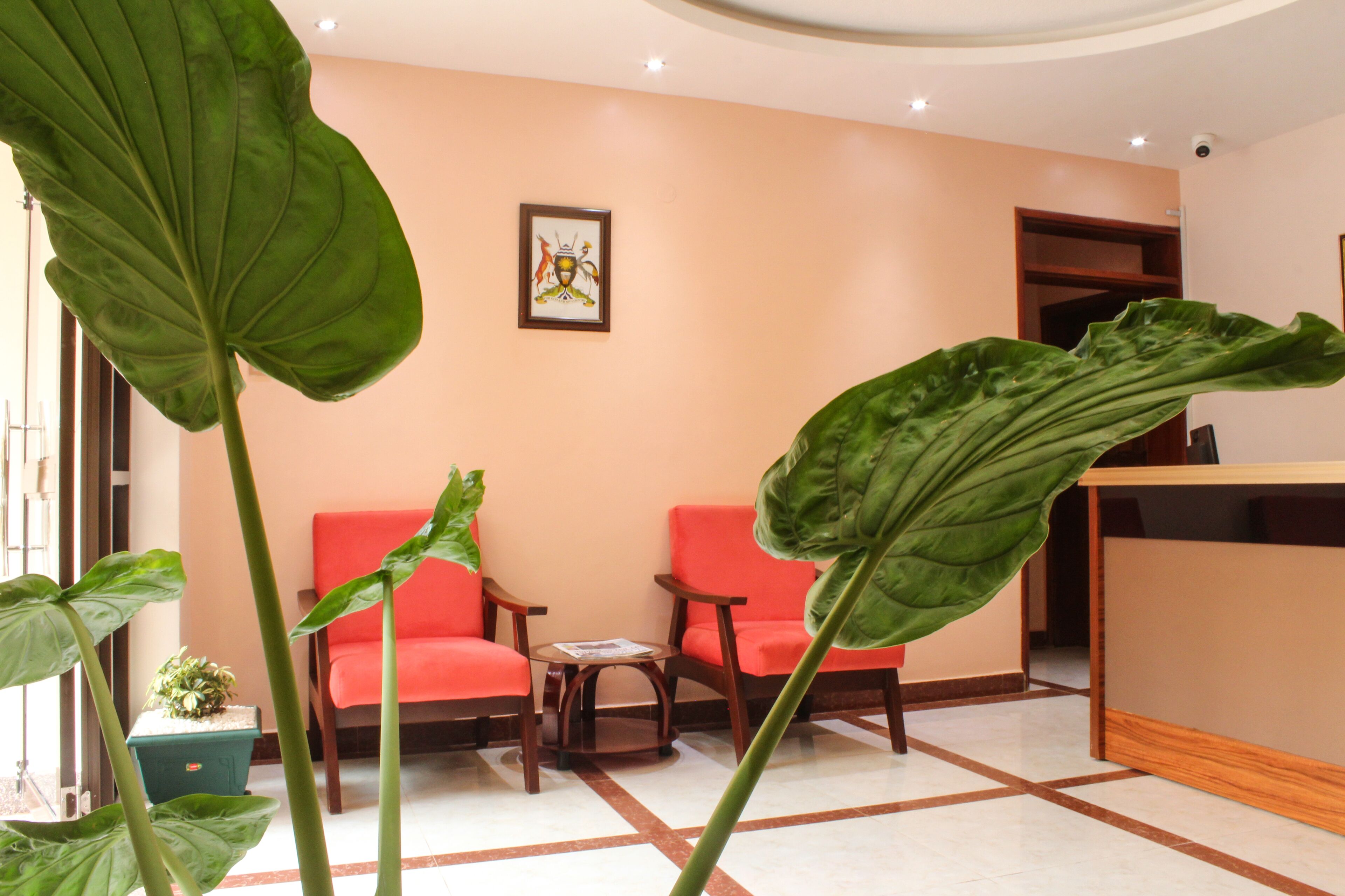 A reception area with a reception desk, two red chairs, a small table, and large green plants.