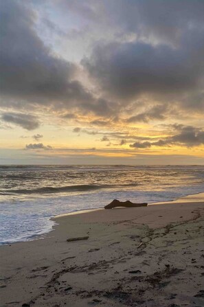 Beach nearby