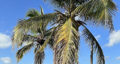 Peaceful and beautiful beach front villa w/pool and 1 min away from las dunas