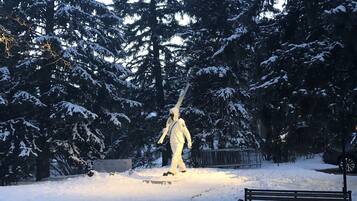 Deportes de invierno y ski