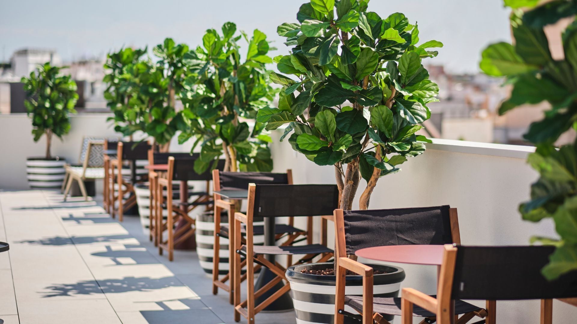 Photo - ESTIMAR Valencia