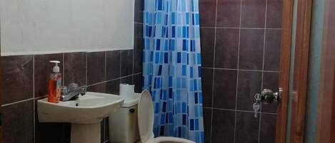 Douche, séchoir à cheveux, serviettes fournies, savon