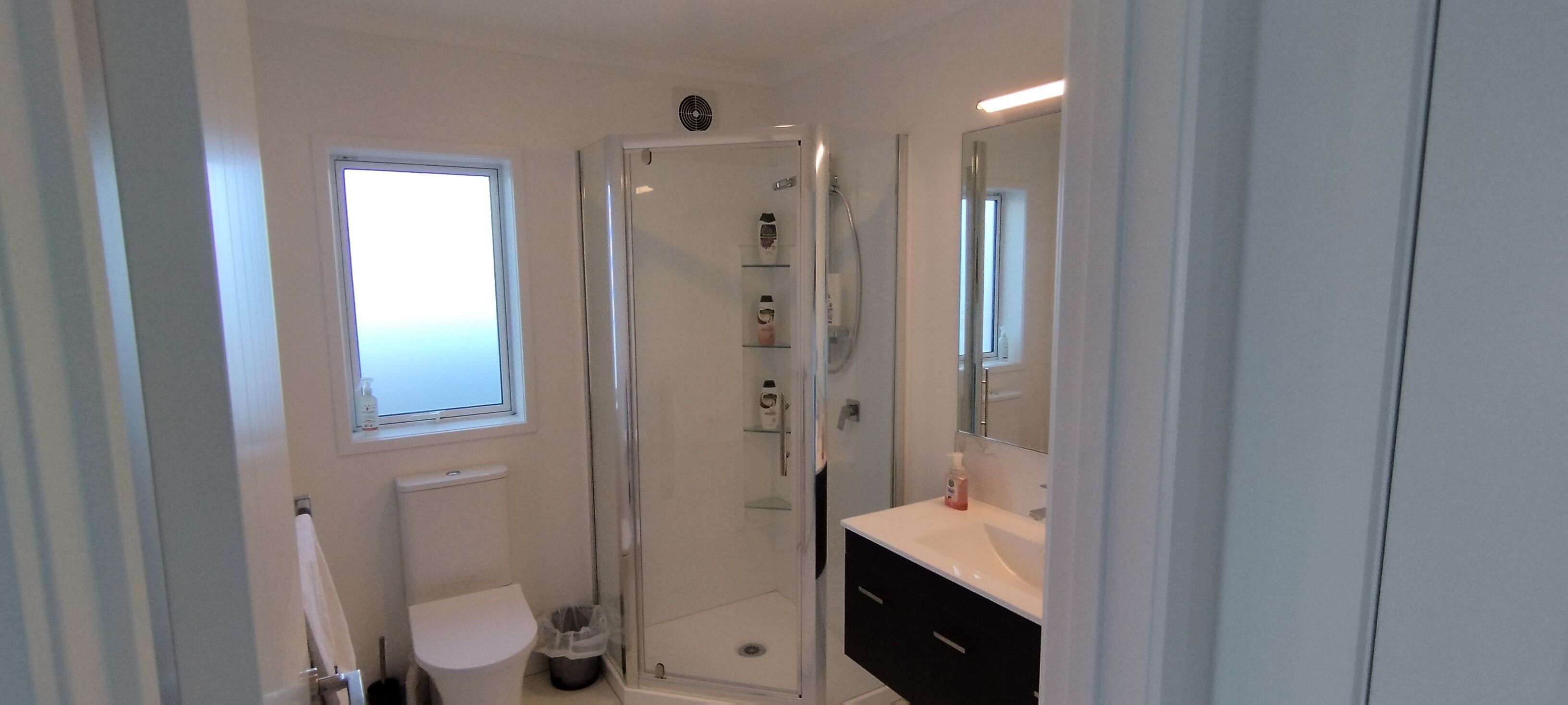 A modern bathroom with a glass-enclosed shower, a toilet, and a vanity with a mirror.