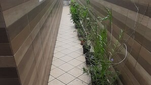 A narrow corridor with tiled flooring, potted plants, and benches. - Apê Confortável, com Alexa. Ótima Localização (Malhado Ilhéus)