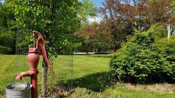 Áreas de la propiedad