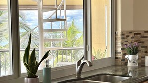 A kitchen with a large window, a sink, cabinets, and a potted plant. - Beautiful Open-Water Property (Big Pine Key)