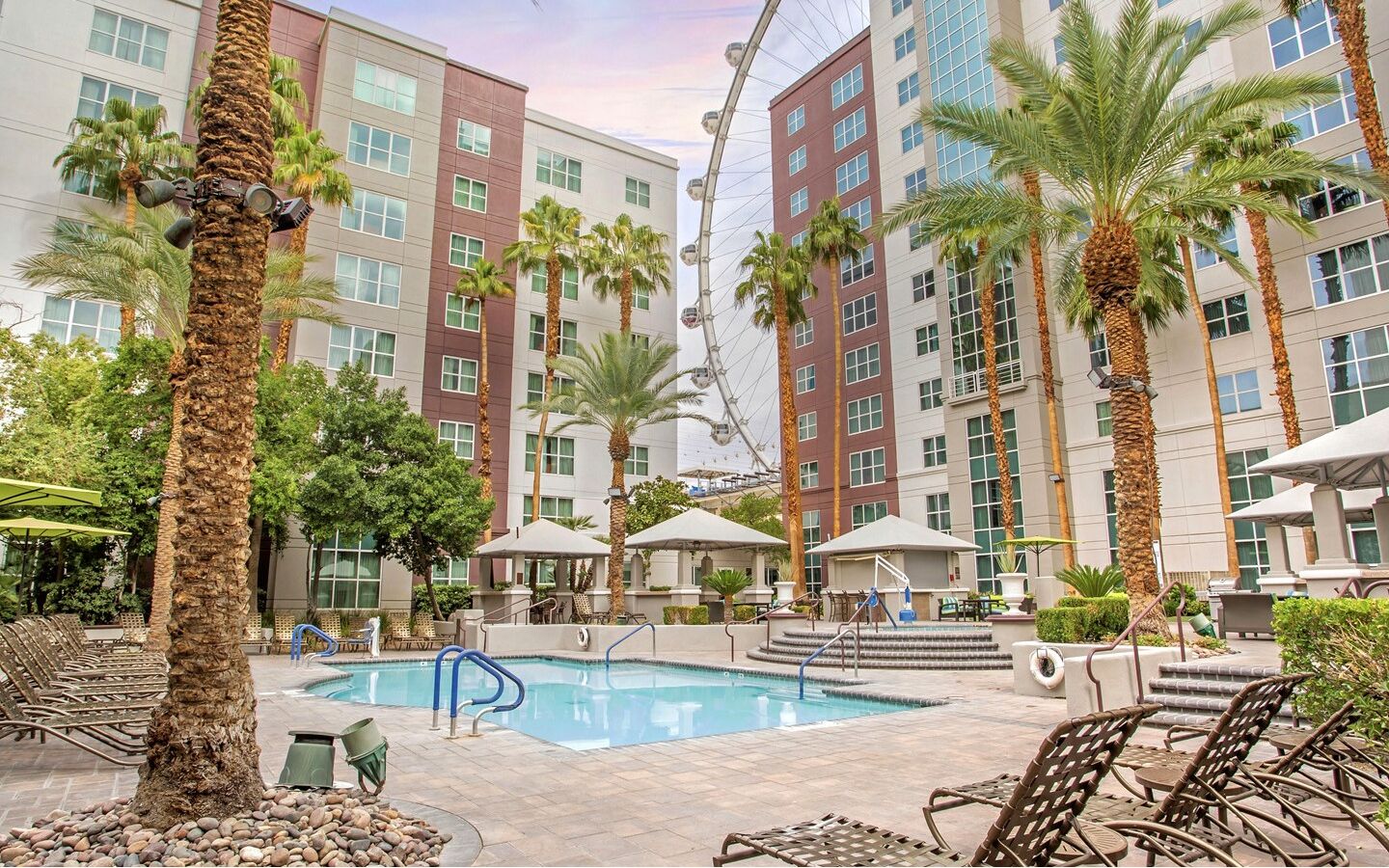 Hilton's Flamingo Resort in Las Vegas-Studio