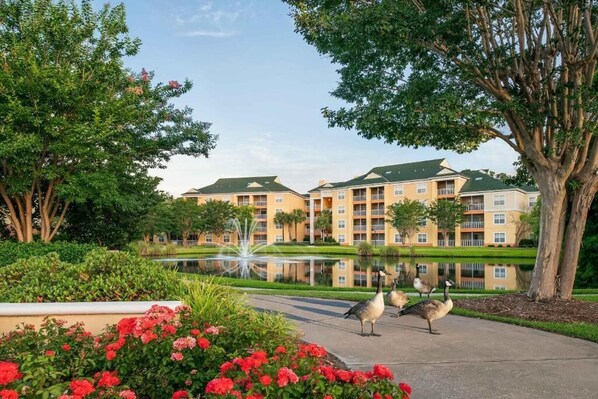 Property grounds - Look no further than Sheraton Broadway Resort Villas  (Myrtle Beach)