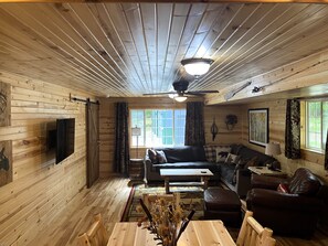 Smart TV, fireplace, books