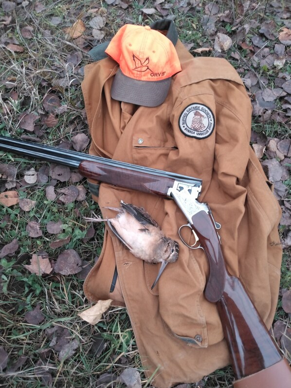 A person wearing a brown jacket with a patch, an orange cap, and holding a shotgun.