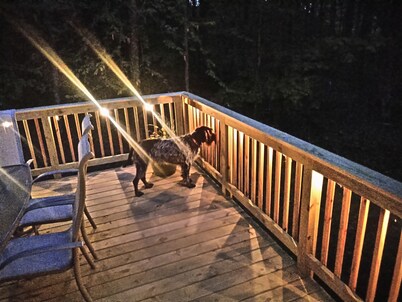 Silver Cliff Lodge - Welcome to your Adventure! Hunt Fish Ride Paddle 