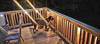 Silver Cliff Lodge - Welcome to your Adventure! Hunt Fish Ride Paddle