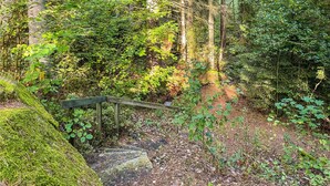 Une zone boisée avec un escalier en bois qui descend vers un sentier rocheux.