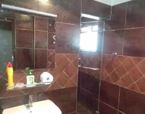 Combined shower/tub, hair dryer, bidet, towels