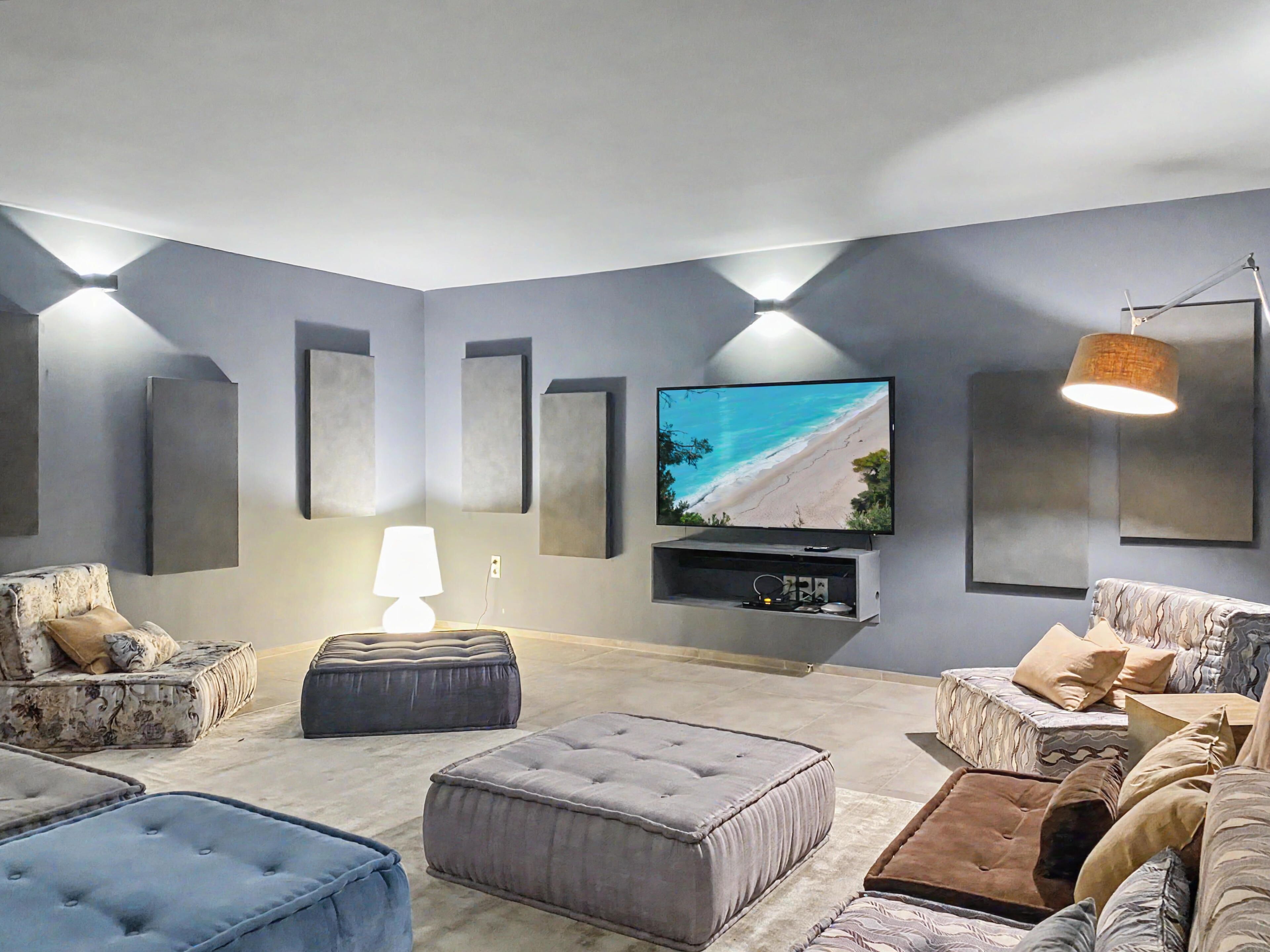 TV, ping pong, video library