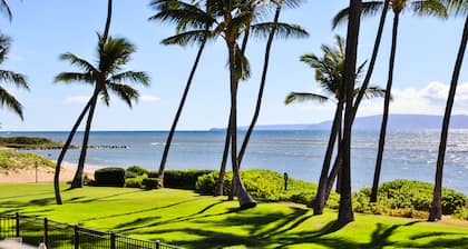 Oceanfront, Split A/C, incredible sunsets, king bed, remodeled October 2023