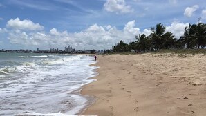 Ein Strand mit sandigem Ufer, Wellen und Palmen.