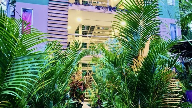 Uma trilha ladeada por vegetação tropical exuberante conduz a um edifício moderno com vários andares e um terraço coberto.
