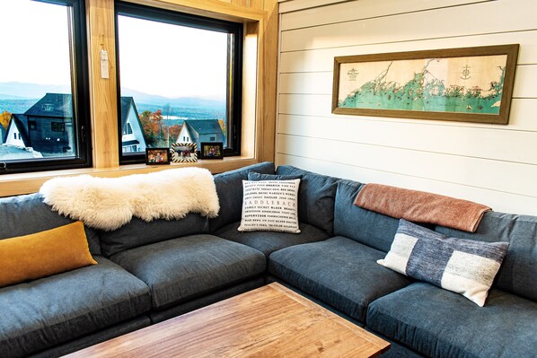 TV, fireplace, books