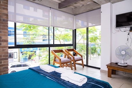 Deluxe Apartment | View from room