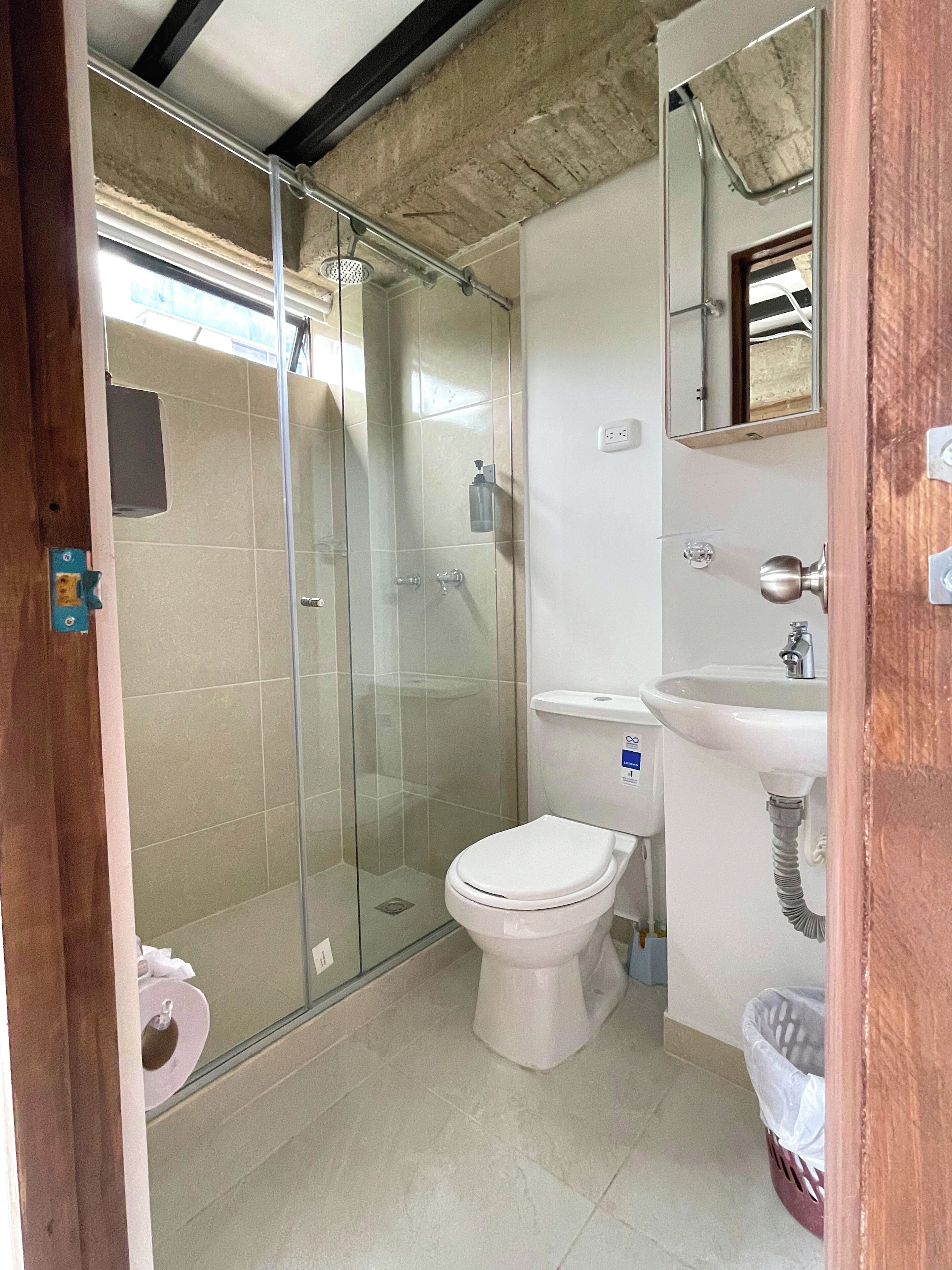 A bathroom with a glass-enclosed shower, a white toilet, a sink, and a mirror above the sink.