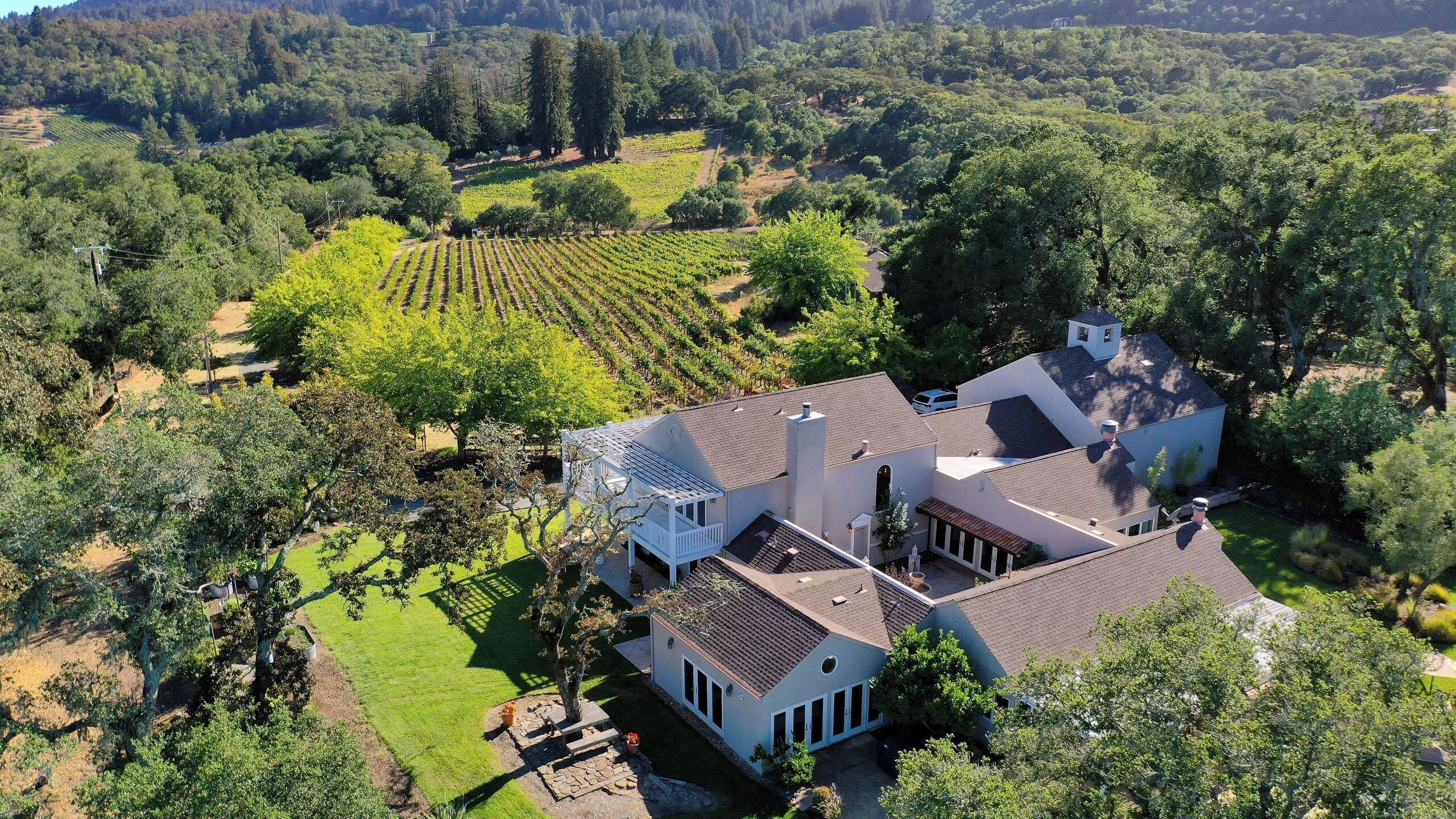 Un vaste domaine comprenant un vignoble, une maison principale et une maison d’hôtes.