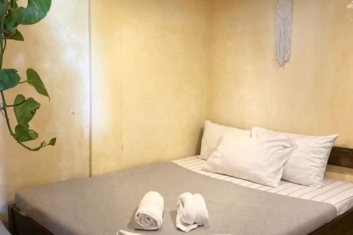 A single bed with white linens, a grey bedspread, and a plant to the left.